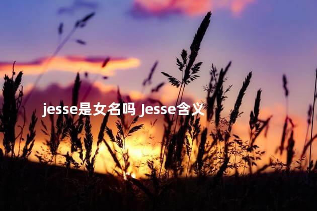 jesse是女名吗 Jesse含义